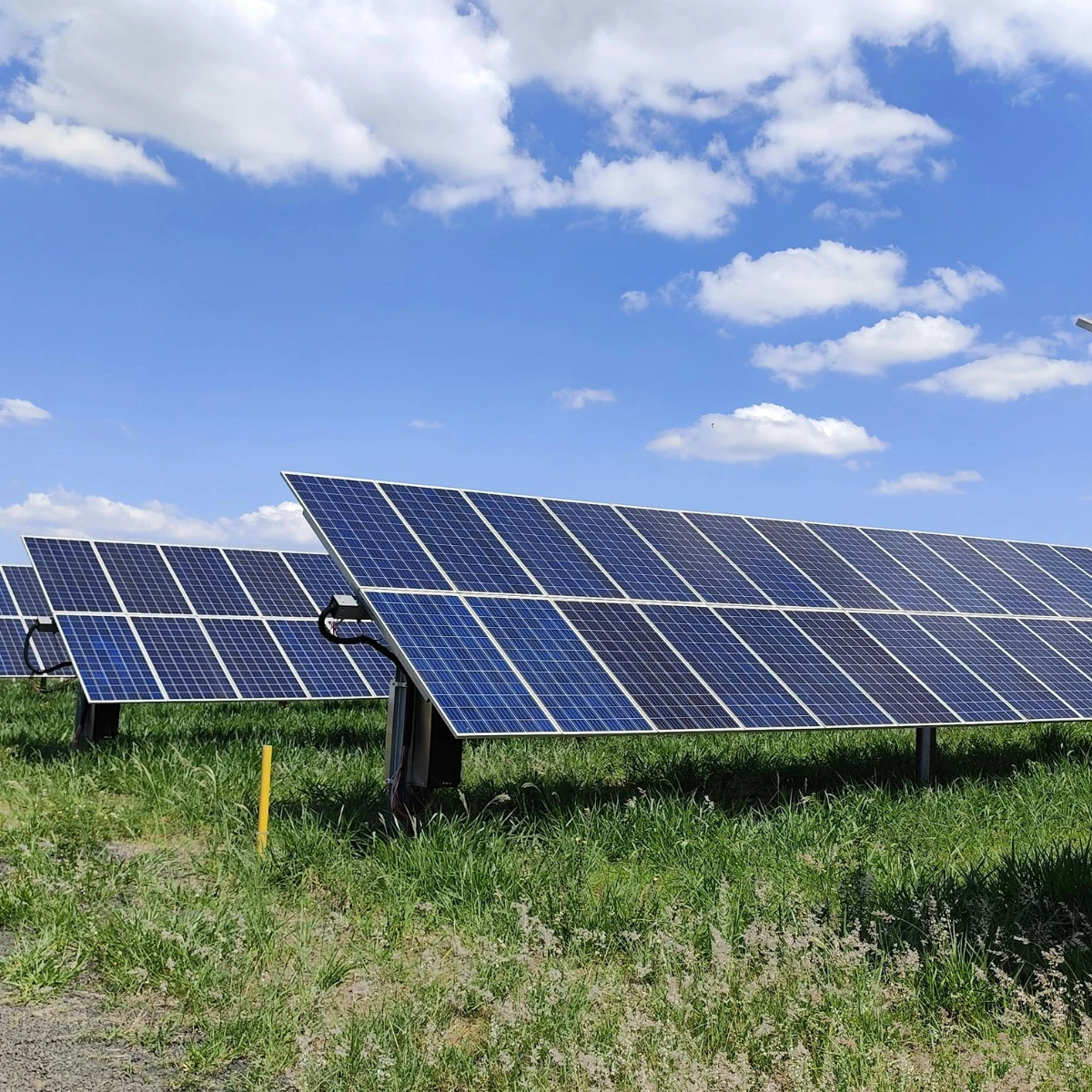 Solaranlage Feld - Sarah Kernig Energie Lösungen